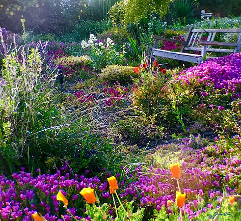 Garden 2018